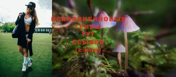 наркотики Алексеевка