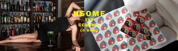 хмурый Алзамай