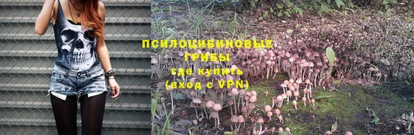 хмурый Алзамай