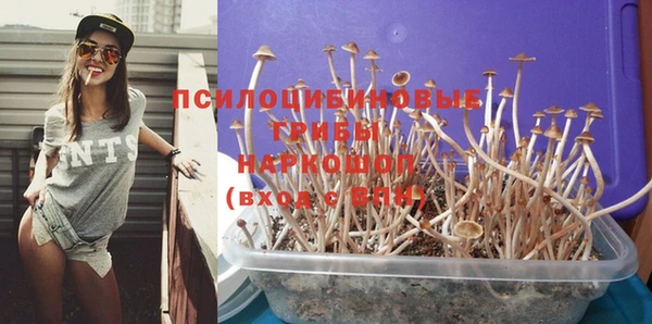 хмурый Алзамай